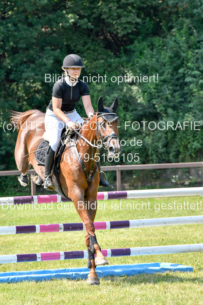 Reitturnier Harburger RV  16.7.2021 | 16072021 Springpferde L 6+7J_094-2 