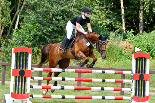 Reitturnier Harburger RV  16.7.2021 | 16072021 Springpferde L 6+7J_001-2 