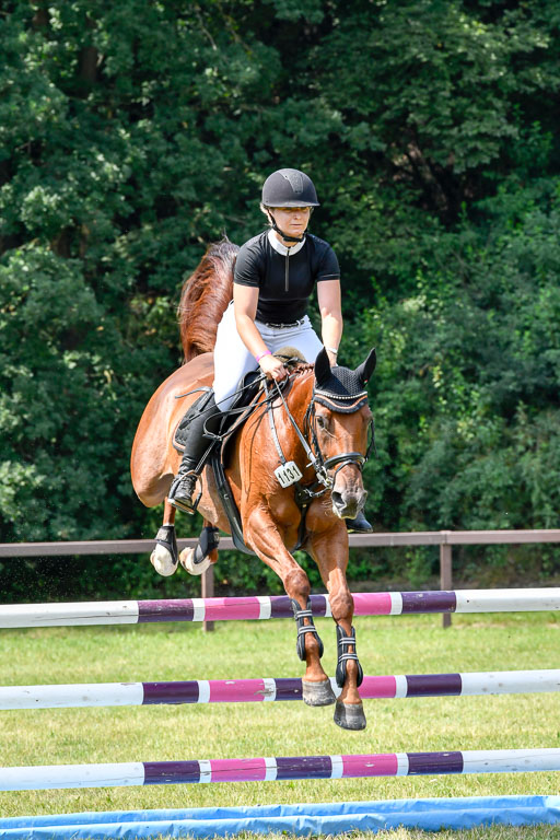 Reitturnier Harburger RV  16.7.2021 | 16072021 Springpferde L 6+7J_003-2 