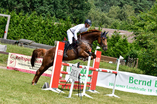 Reitturnier Harburger RV  16.7.2021 | 16072021 Springpferde L 6+7J_008-2 