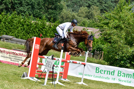 Reitturnier Harburger RV  16.7.2021 | 16072021 Springpferde L 6+7J_009-2 