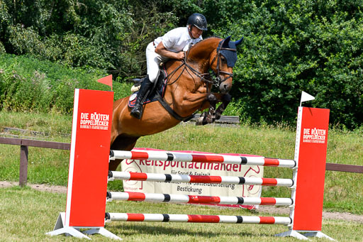 Reitturnier Harburger RV  16.7.2021 | 16072021 Springpferde L 6+7J_015-2 
