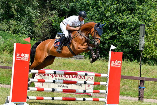 Springpferde L 6+7J Springpferde L 6+7J