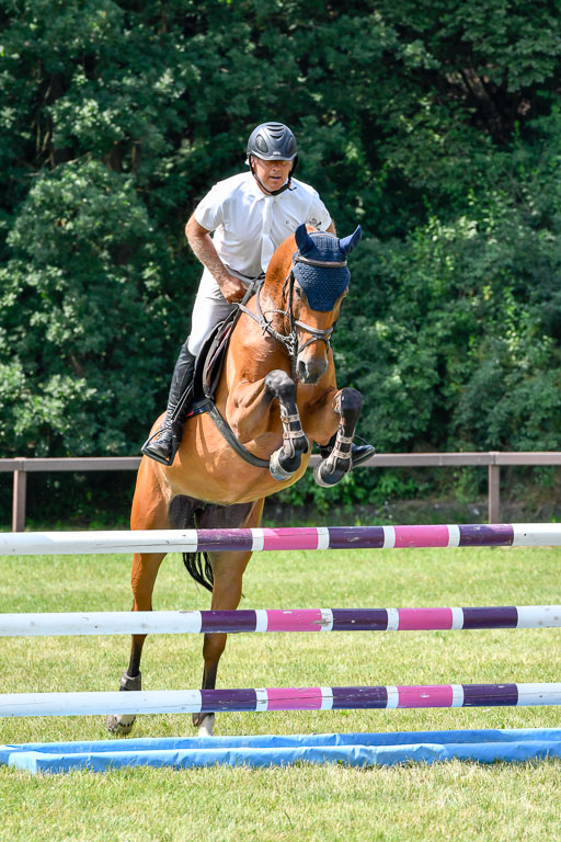 Reitturnier Harburger RV  16.7.2021 | 16072021 Springpferde L 6+7J_019-2 