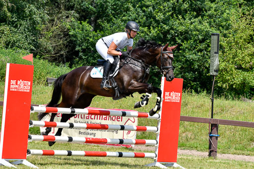 Reitturnier Harburger RV  16.7.2021 | 16072021 Springpferde L 6+7J_024-2 