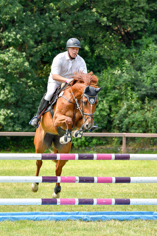 Reitturnier Harburger RV  16.7.2021 | 16072021 Springpferde L 6+7J_029-2 
