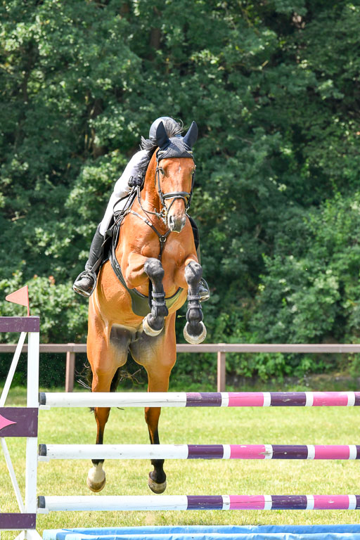 Reitturnier Harburger RV  16.7.2021 | 16072021 Springpferde L 6+7J_033-2 