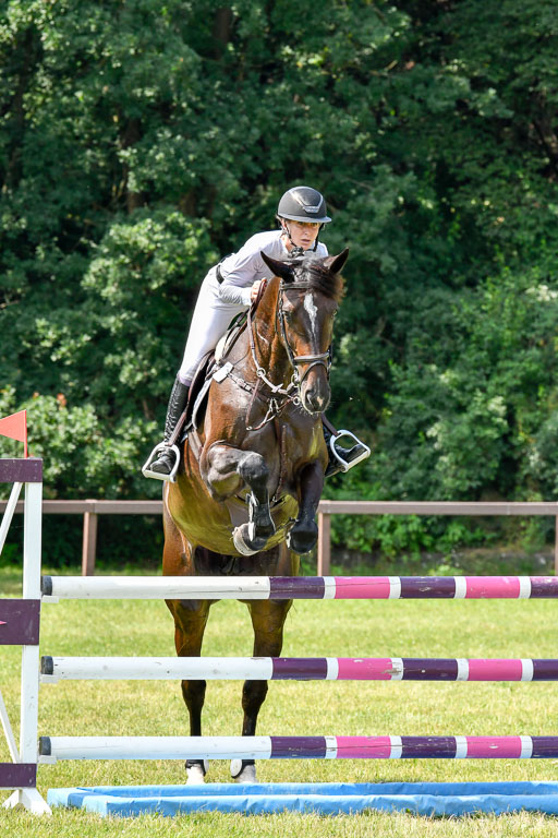 Reitturnier Harburger RV  16.7.2021 | 16072021 Springpferde L 6+7J_041-2 