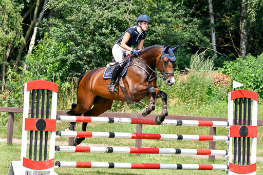 Reitturnier Harburger RV  16.7.2021 | 16072021 Springpferde L 6+7J_053-2 