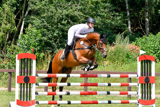 Reitturnier Harburger RV  16.7.2021 | 16072021 Springpferde L 6+7J_075-2 