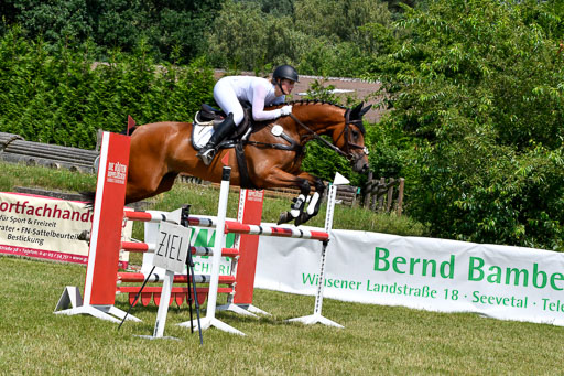 Reitturnier Harburger RV  16.7.2021 | 16072021 Springpferde L 6+7J_078-2 