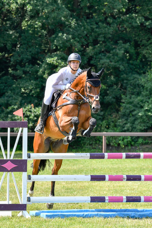 Reitturnier Harburger RV  16.7.2021 | 16072021 Springpferde L 6+7J_079-2 