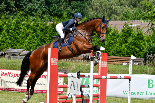 Reitturnier Harburger RV  16.7.2021 | 16072021 Springpferde L 6+7J_084-2 