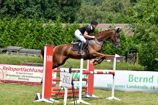 Reitturnier Harburger RV  16.7.2021 | 16072021 Springpferde L 6+7J_092-2 
