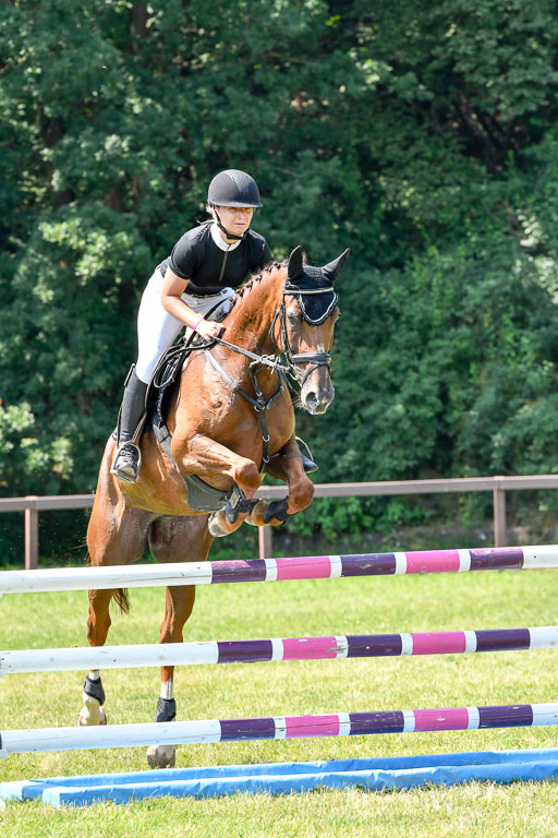 Reitturnier Harburger RV  16.7.2021 | 16072021 Springpferde L 6+7J_093-2 