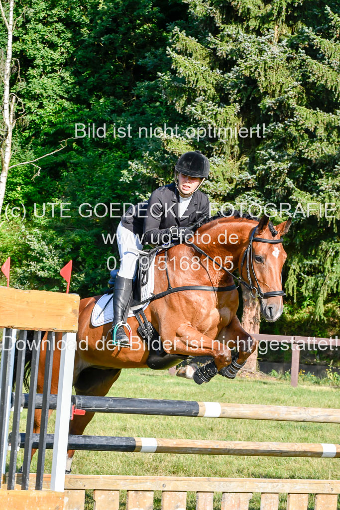 Reitturnier Harburger RV 16.7.2021 | 17072021 Stil A 1 REI_004