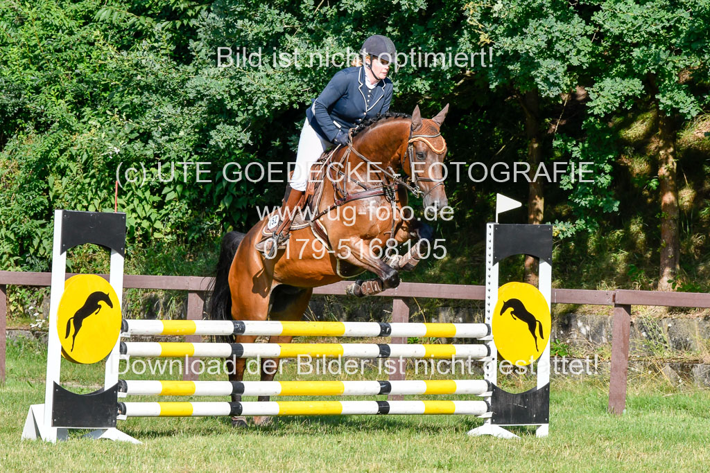 Reitturnier Harburger RV 16.7.2021 | 17072021 Stil A 1 REI_012