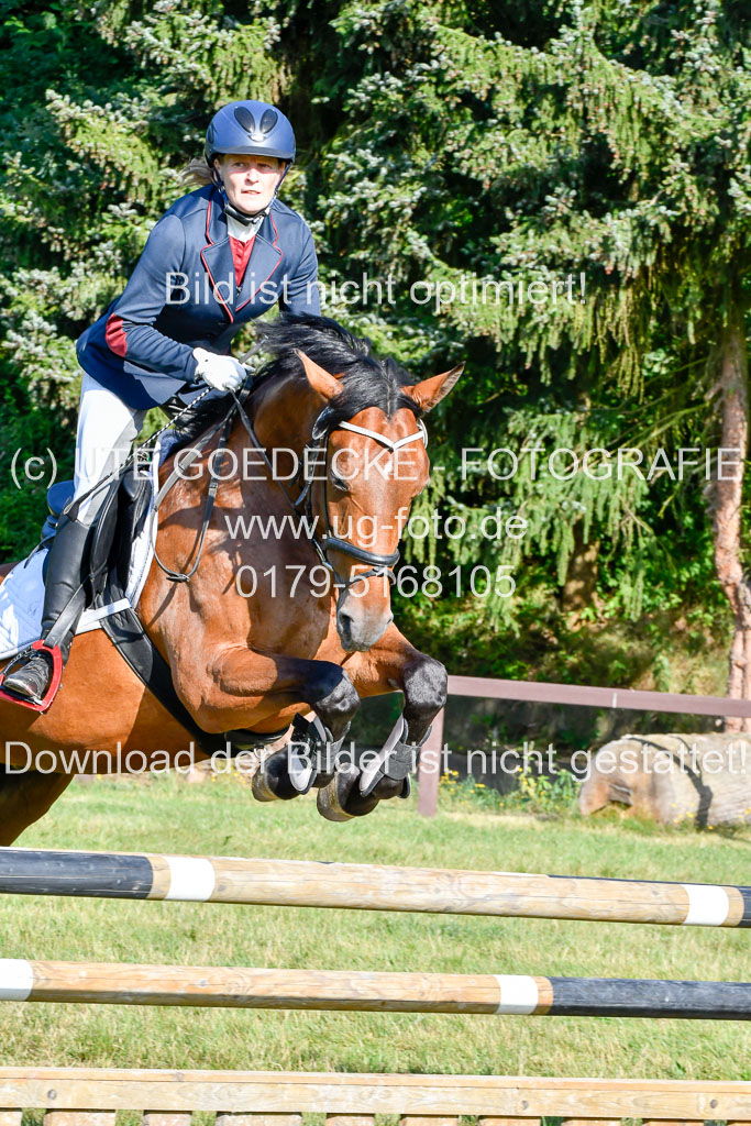 Reitturnier Harburger RV 16.7.2021 | 17072021 Stil A 1 REI_020