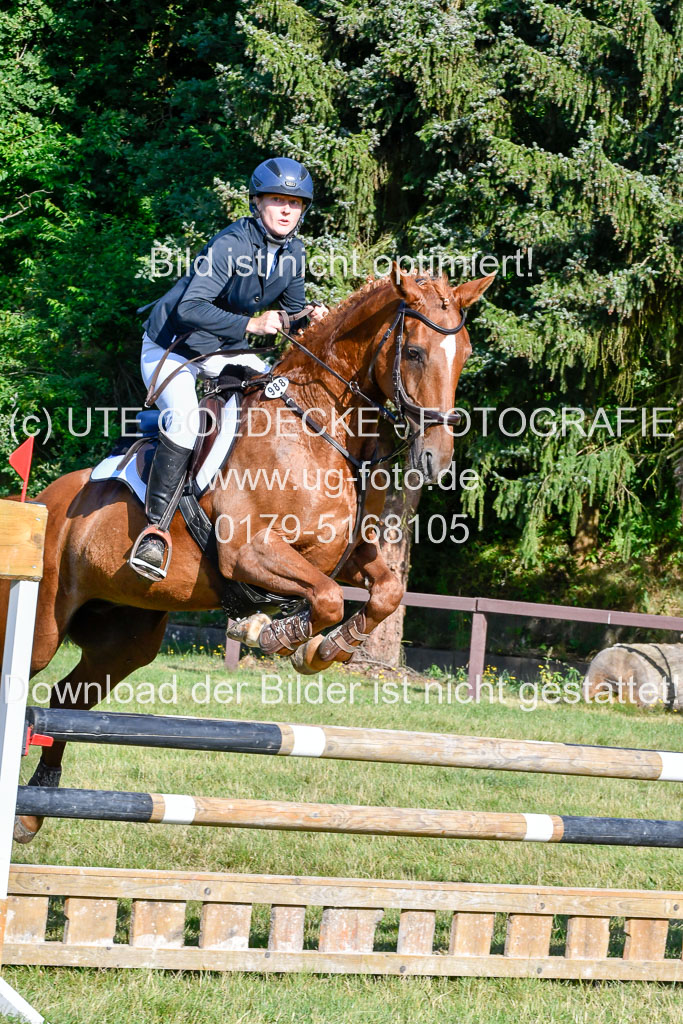 Reitturnier Harburger RV 16.7.2021 | 17072021 Stil A 1 REI_032