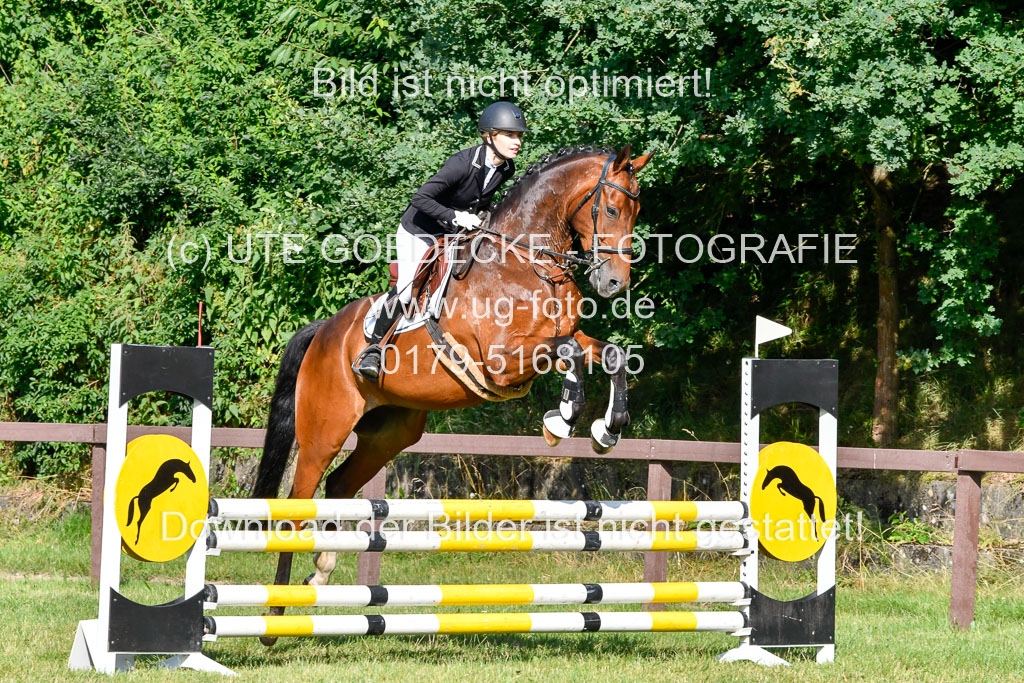 Reitturnier Harburger RV 16.7.2021 | 17072021 Stil A 1 REI_045
