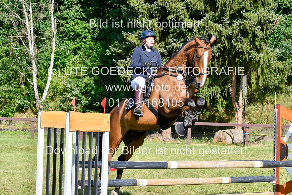 Reitturnier Harburger RV  16.7.2021 | 17072021 Stil A 1 REI_065 