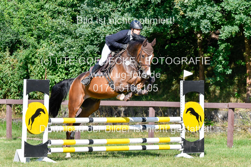 Reitturnier Harburger RV 16.7.2021 | 17072021 Stil A 1 REI_073