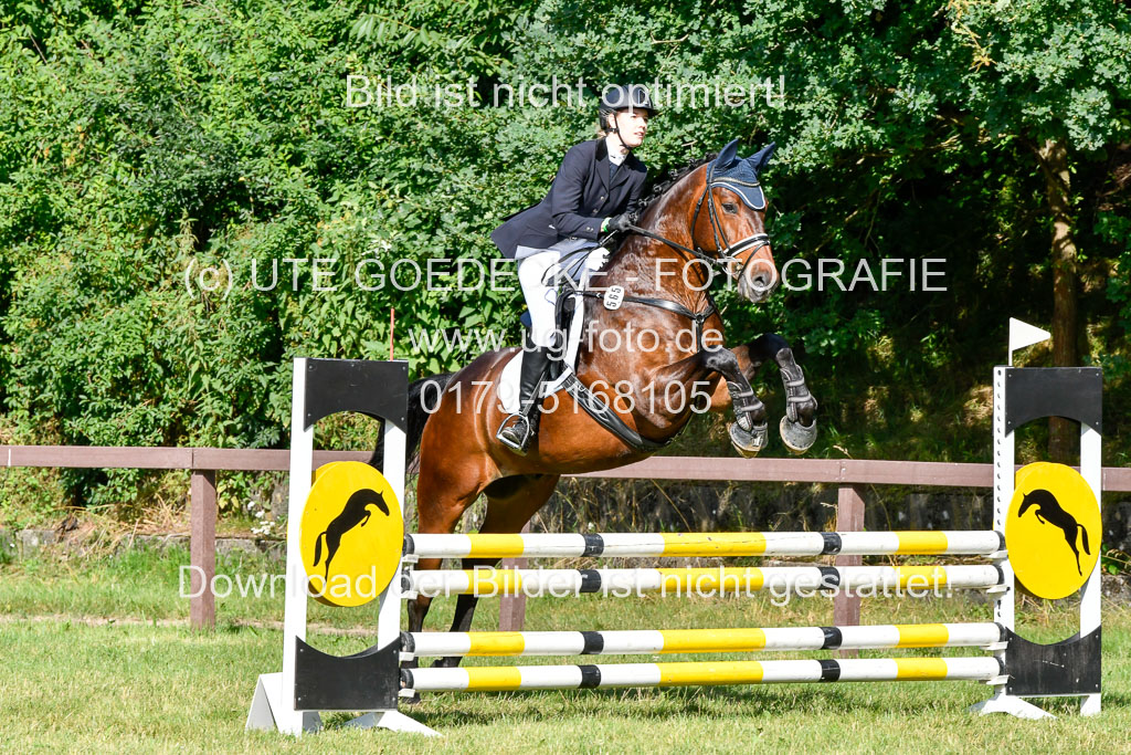 Reitturnier Harburger RV 16.7.2021 | 17072021 Stil A 1 REI_106