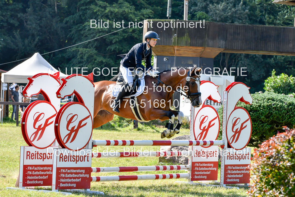 Reitturnier Harburger RV 16.7.2021 | 17072021 Stil A 1 REI_119