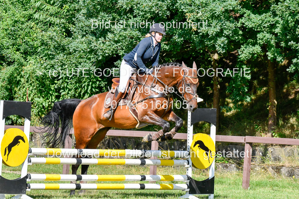 Reitturnier Harburger RV 16.7.2021 | 17072021 Stil A 1 REI_139