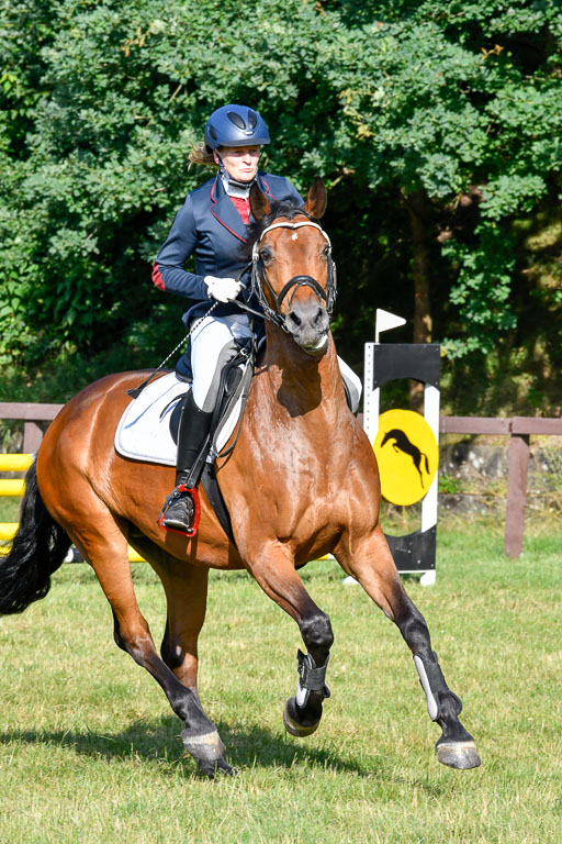 Reitturnier Harburger RV  16.7.2021 | 17072021 Stil A 1 REI_019 