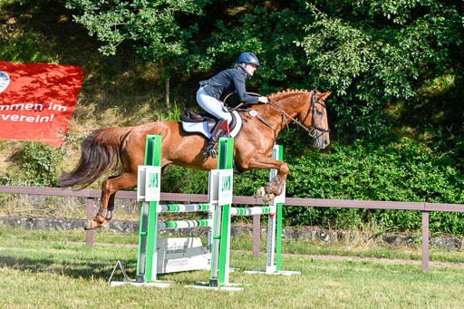 Reitturnier Harburger RV  16.7.2021 | 17072021 Stil A 1 REI_034 