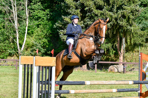 Reitturnier Harburger RV  16.7.2021 | 17072021 Stil A 1 REI_065 