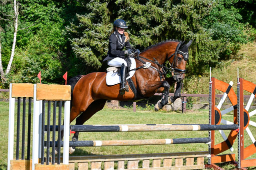 Reitturnier Harburger RV  16.7.2021 | 17072021 Stil A 1 REI_100 