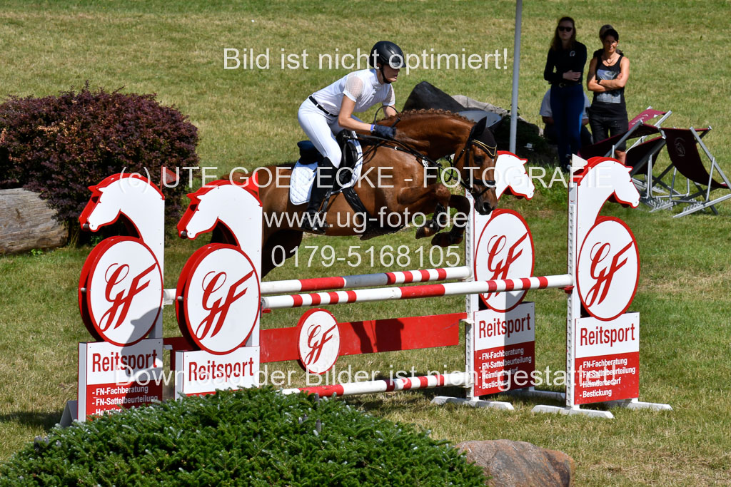 Reitturnier Harburger RV  16.7.2021 | 18072021 Stil L  2 Abt_126 