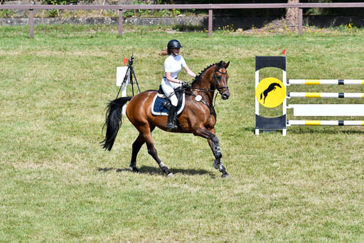 Reitturnier Harburger RV  16.7.2021 | 18072021 Stil L  2 Abt_135 