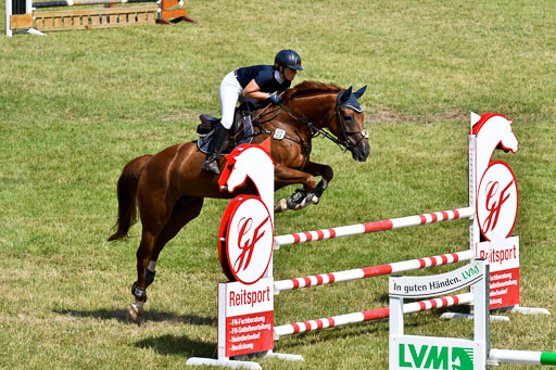 Reitturnier Harburger RV  16.7.2021 | 18072021 Stil L  2 Abt_158 