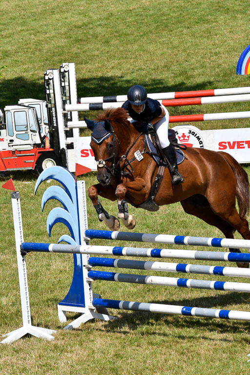 Reitturnier Harburger RV  16.7.2021 | 18072021 Stil L  2 Abt_163 