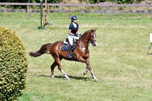 Reitturnier Harburger RV  16.7.2021 | 18072021 Stil L  2 Abt_175 