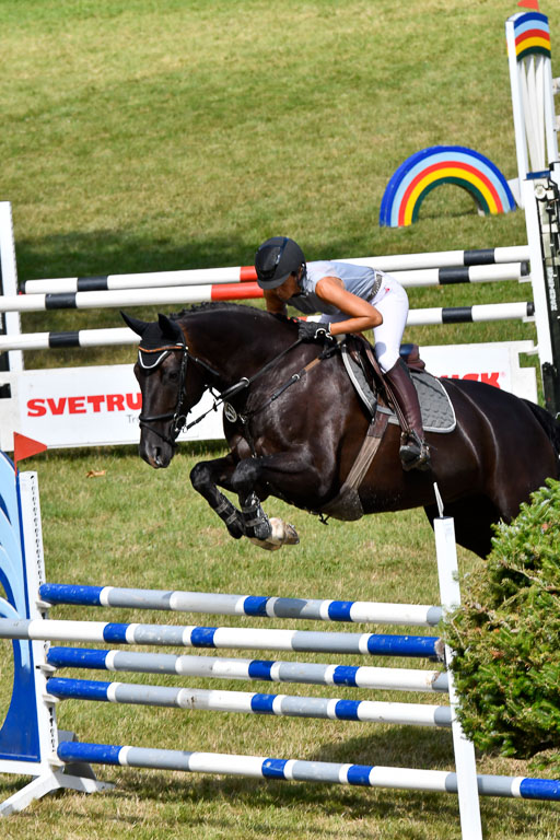 Reitturnier Harburger RV  16.7.2021 | 18072021 Stil L  2 Abt_217 