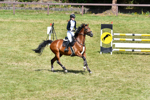 Reitturnier Harburger RV  16.7.2021 | 18072021 Stil L  2 Abt_253 