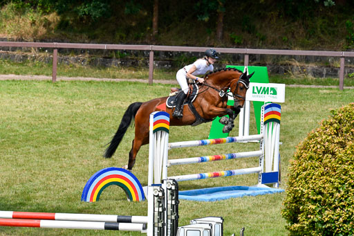 Reitturnier Harburger RV  16.7.2021 | 18072021 Stil L  2 Abt_270 