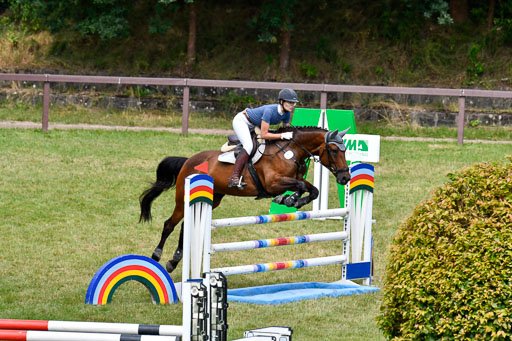 Reitturnier Harburger RV  16.7.2021 | 18072021 Stil L  2 Abt_279 