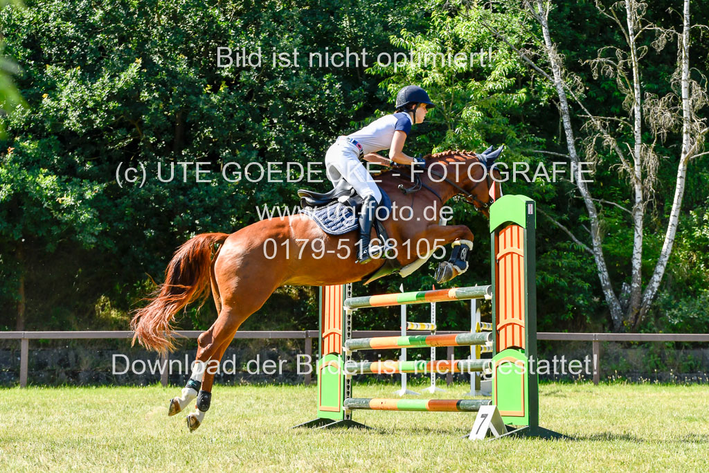 Reitturnier Harburger RV  17.7.2021 | 17072021 Stil M 1 Abt_002 