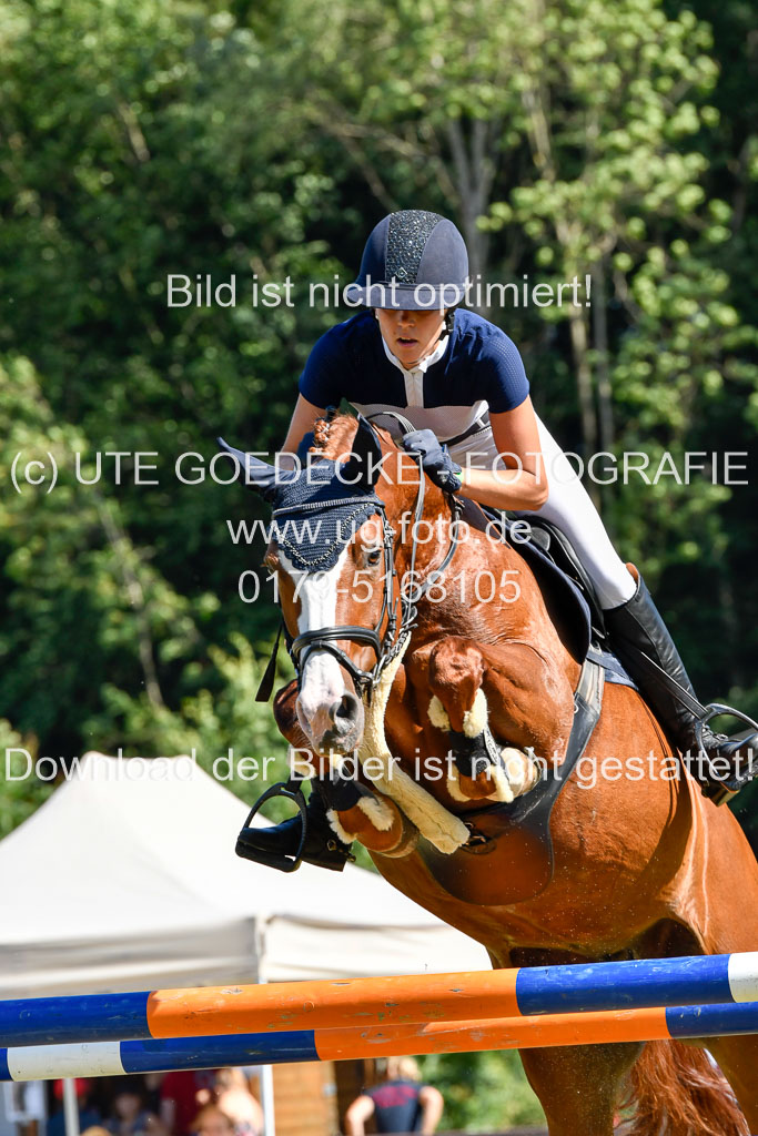 Reitturnier Harburger RV  17.7.2021 | 17072021 Stil M 1 Abt_007 