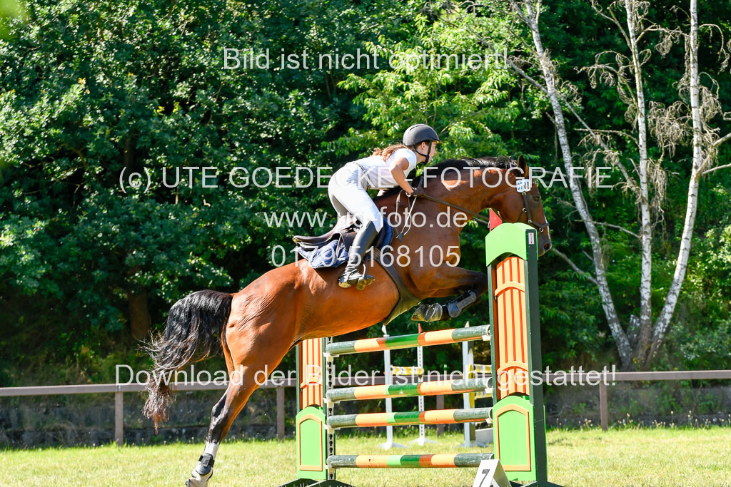 Reitturnier Harburger RV 17.7.2021 | 17072021 Stil M 1 Abt_014
