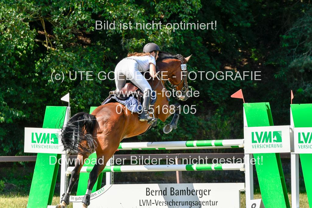 Reitturnier Harburger RV 17.7.2021 | 17072021 Stil M 1 Abt_015