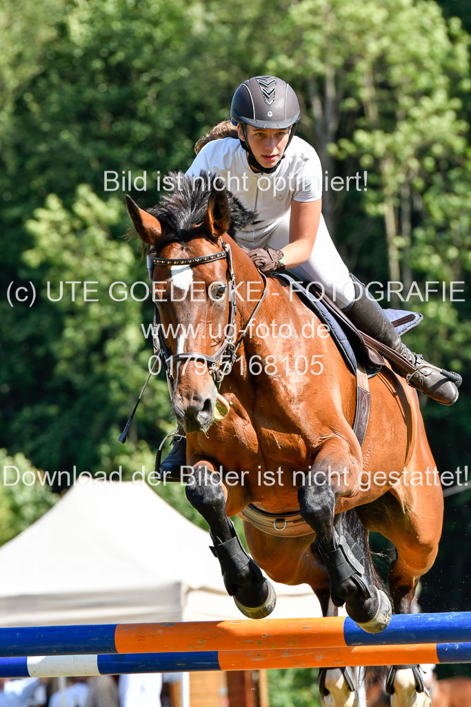 Reitturnier Harburger RV  17.7.2021 | 17072021 Stil M 1 Abt_021 