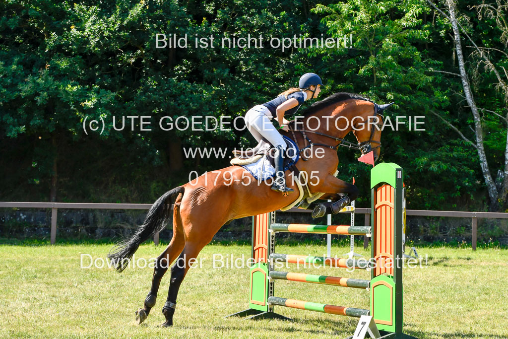 Reitturnier Harburger RV 17.7.2021 | 17072021 Stil M 1 Abt_053