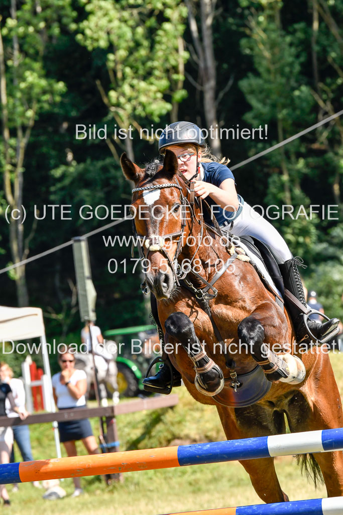 Reitturnier Harburger RV  17.7.2021 | 17072021 Stil M 1 Abt_071 