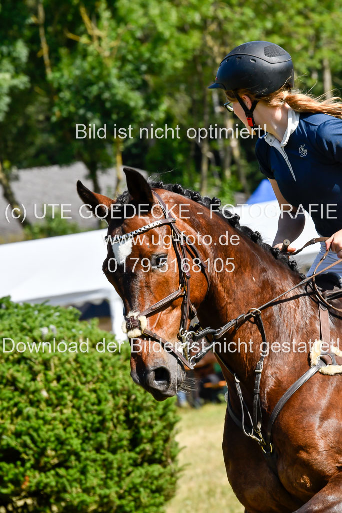 Reitturnier Harburger RV  17.7.2021 | 17072021 Stil M 1 Abt_073 